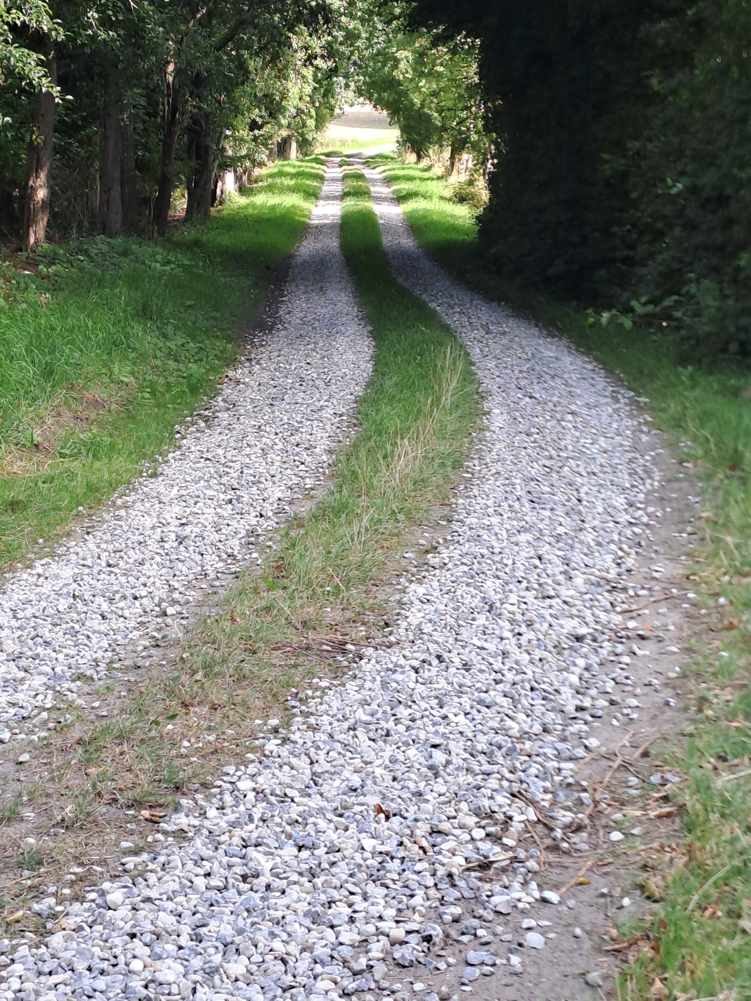 Ny grusvej anlagt med stabilgrus og skærver – professionelt udført på Fyn